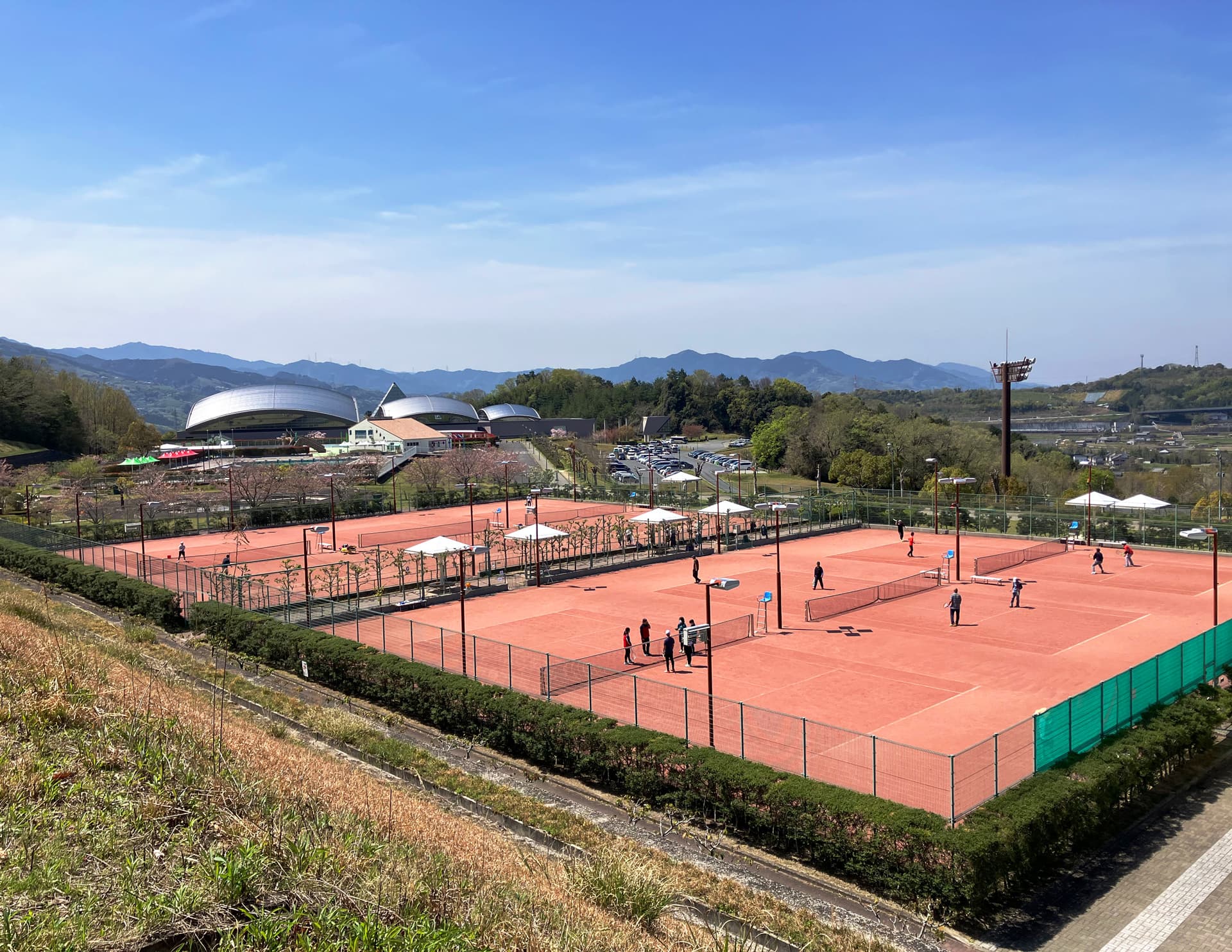 【開講中】 ジュニアソフトテニス教室